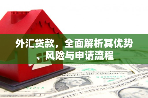 电白外汇贷款，全面解析其优势、风险与申请流程