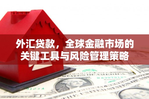 电白外汇贷款，全球金融市场的关键工具与风险管理策略