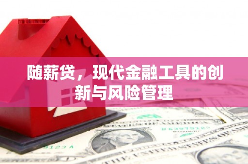 电白随薪贷，现代金融工具的创新与风险管理
