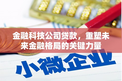 电白金融科技公司贷款，重塑未来金融格局的关键力量