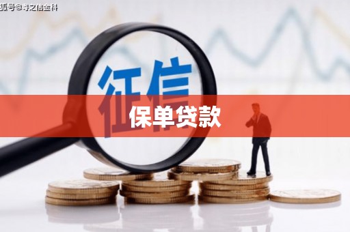电白保单贷款