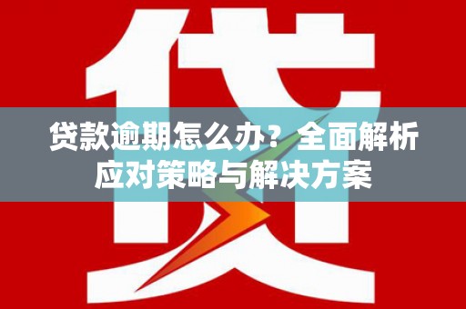 电白贷款逾期怎么办？全面解析应对策略与解决方案