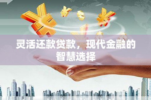 电白灵活还款贷款，现代金融的智慧选择