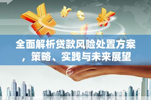 电白全面解析贷款风险处置方案，策略、实践与未来展望