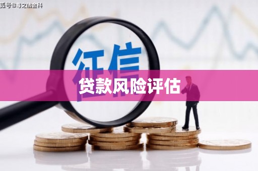 电白贷款风险评估