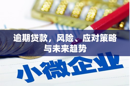 电白逾期贷款，风险、应对策略与未来趋势