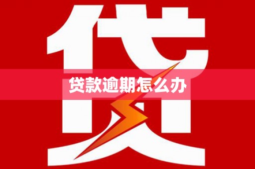 电白贷款逾期怎么办
