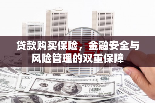 电白贷款购买保险，金融安全与风险管理的双重保障