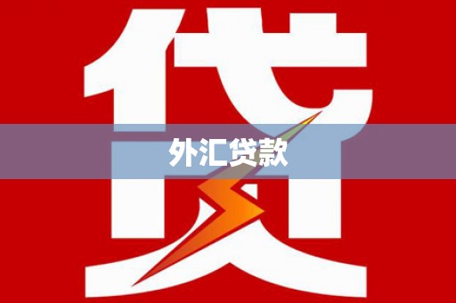 电白外汇贷款