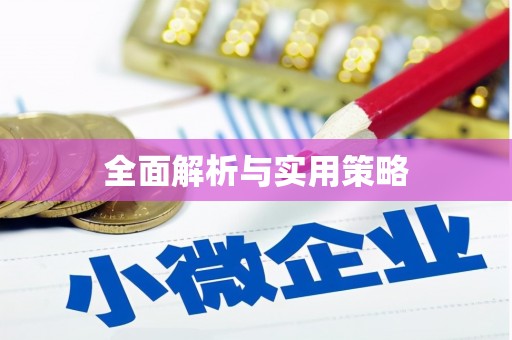 电白全面解析与实用策略