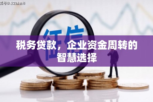 电白税务贷款，企业资金周转的智慧选择
