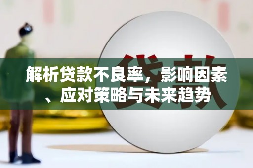 电白解析贷款不良率，影响因素、应对策略与未来趋势