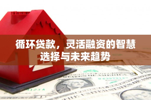 电白循环贷款，灵活融资的智慧选择与未来趋势