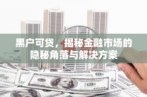 电白黑户可贷，揭秘金融市场的隐秘角落与解决方案
