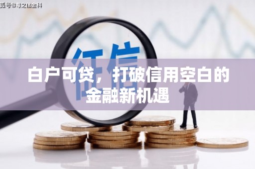 电白白户可贷，打破信用空白的金融新机遇
