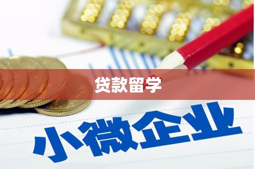 电白贷款留学