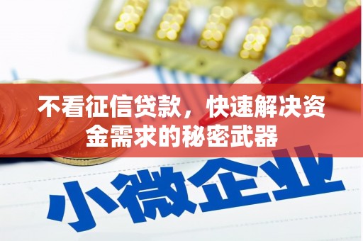 电白不看征信贷款，快速解决资金需求的秘密武器