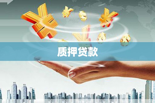 电白质押贷款