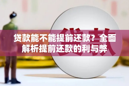 电白贷款能不能提前还款？全面解析提前还款的利与弊