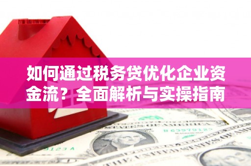 电白如何通过税务贷优化企业资金流？全面解析与实操指南