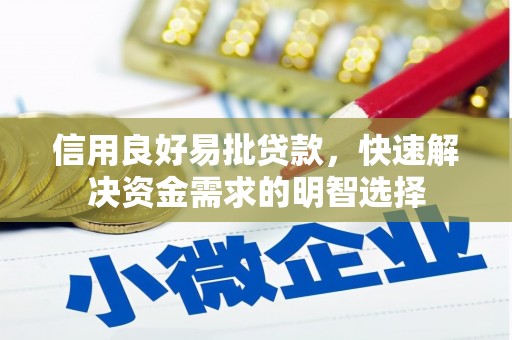 电白信用良好易批贷款，快速解决资金需求的明智选择