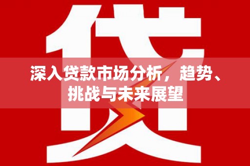 电白深入贷款市场分析，趋势、挑战与未来展望