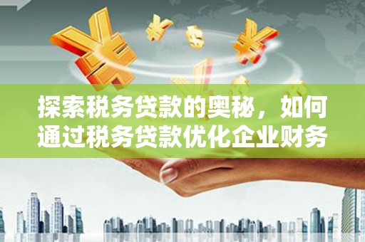 电白探索税务贷款的奥秘，如何通过税务贷款优化企业财务