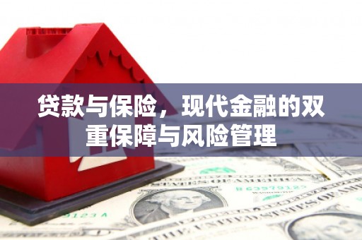电白贷款与保险，现代金融的双重保障与风险管理