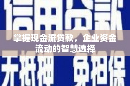 电白掌握现金流贷款，企业资金流动的智慧选择