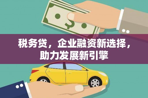 电白税务贷，企业融资新选择，助力发展新引擎