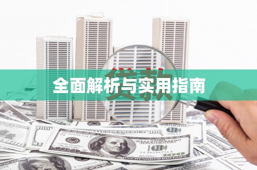 电白全面解析与实用指南