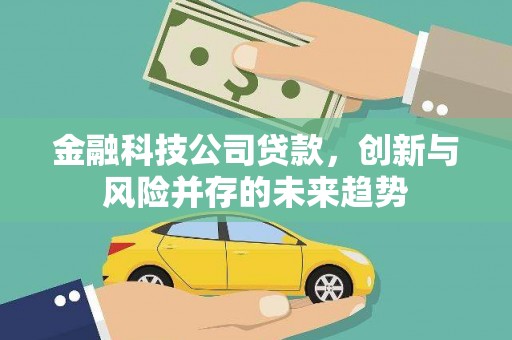 电白金融科技公司贷款，创新与风险并存的未来趋势