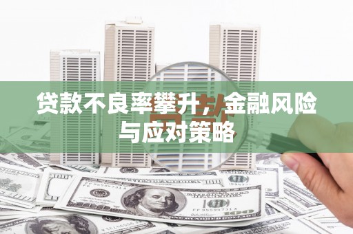 电白贷款不良率攀升，金融风险与应对策略