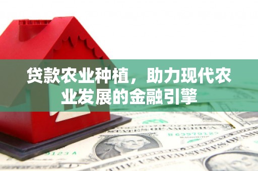 电白贷款农业种植，助力现代农业发展的金融引擎