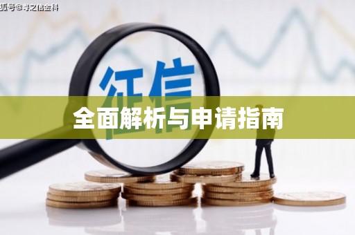 电白全面解析与申请指南