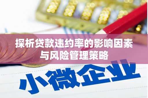 电白探析贷款违约率的影响因素与风险管理策略