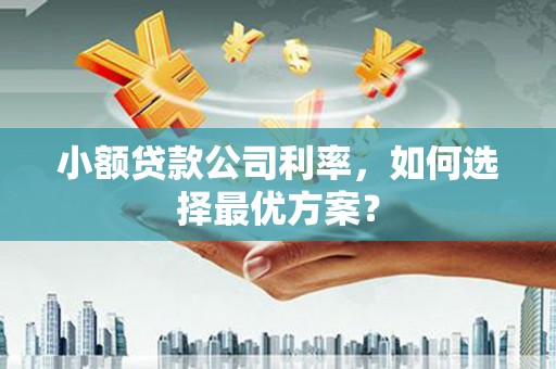 电白小额贷款公司利率，如何选择最优方案？