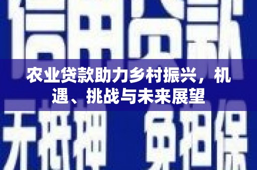 电白农业贷款助力乡村振兴，机遇、挑战与未来展望