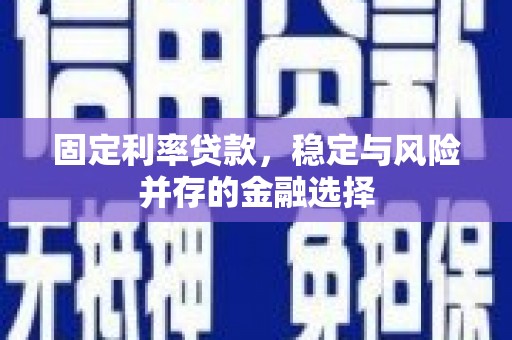 电白固定利率贷款，稳定与风险并存的金融选择