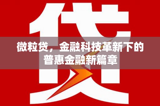电白微粒贷，金融科技革新下的普惠金融新篇章