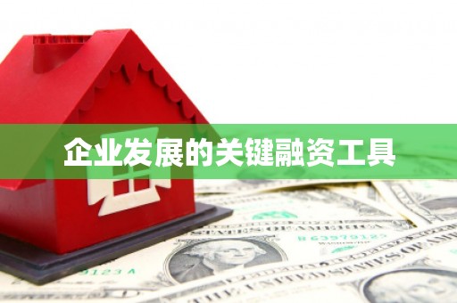 电白企业发展的关键融资工具
