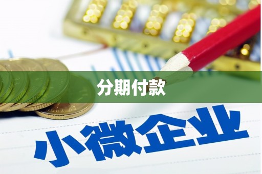 电白分期付款