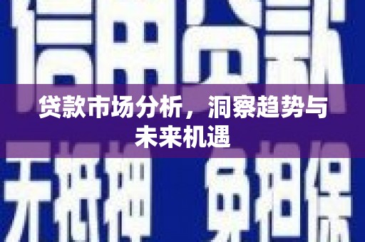 电白贷款市场分析，洞察趋势与未来机遇