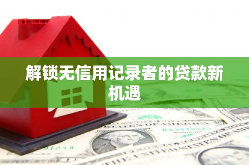 电白解锁无信用记录者的贷款新机遇