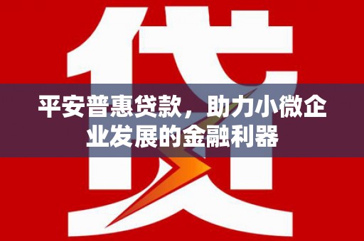 电白平安普惠贷款，助力小微企业发展的金融利器