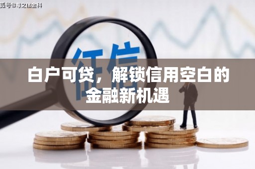 电白白户可贷，解锁信用空白的金融新机遇