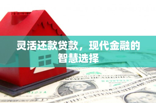 电白灵活还款贷款，现代金融的智慧选择