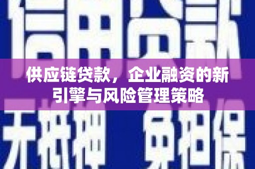 电白供应链贷款，企业融资的新引擎与风险管理策略