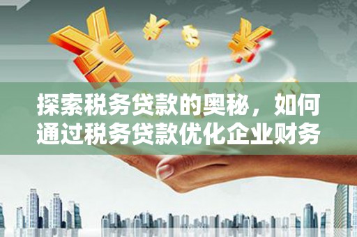 电白探索税务贷款的奥秘，如何通过税务贷款优化企业财务