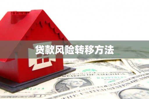 电白贷款风险转移方法